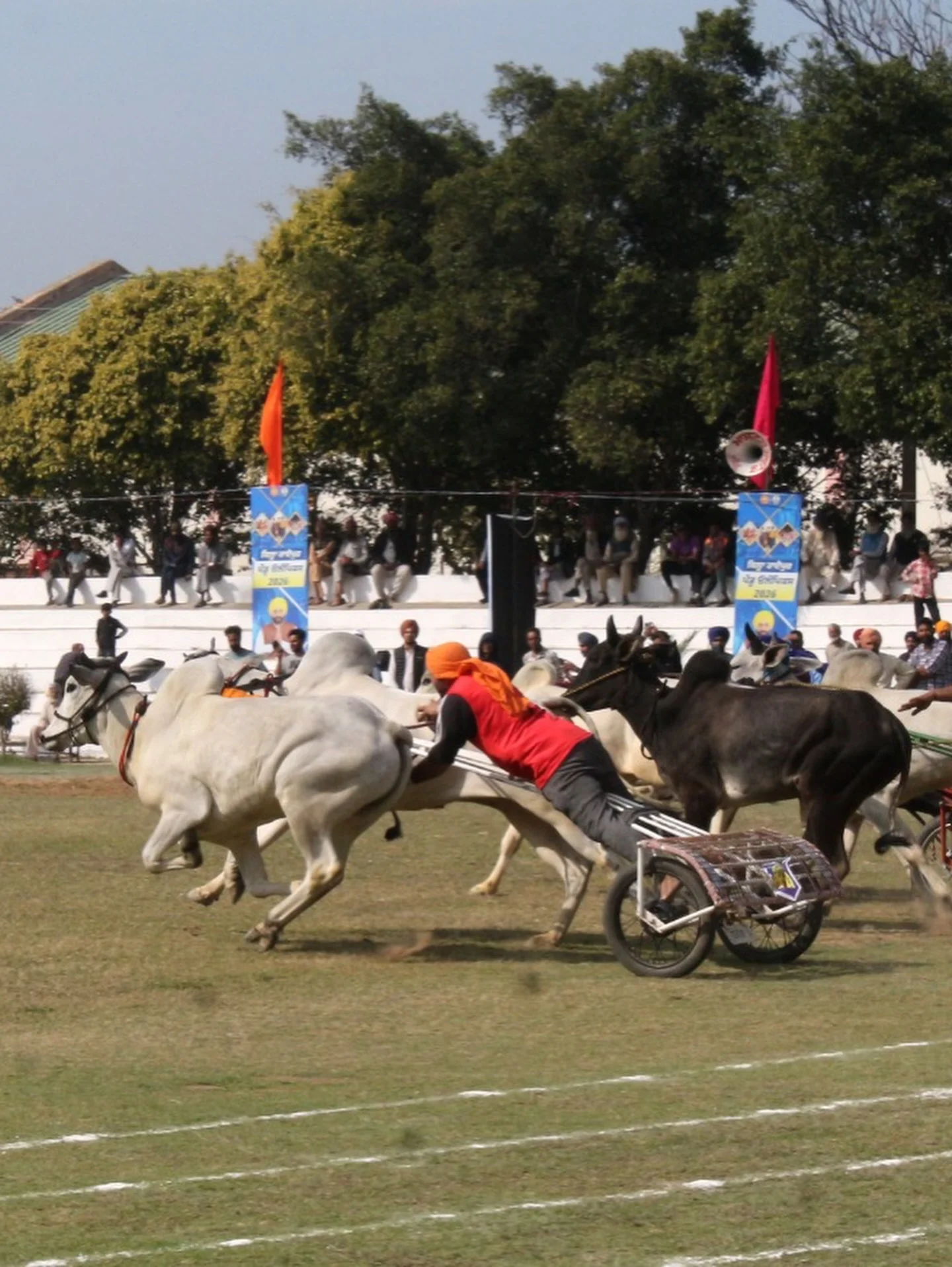 Photo by 1000 Things In Ludhiana on February 18, 2026. May be an image of track and field, riding on a horse, horse, carriage and text.