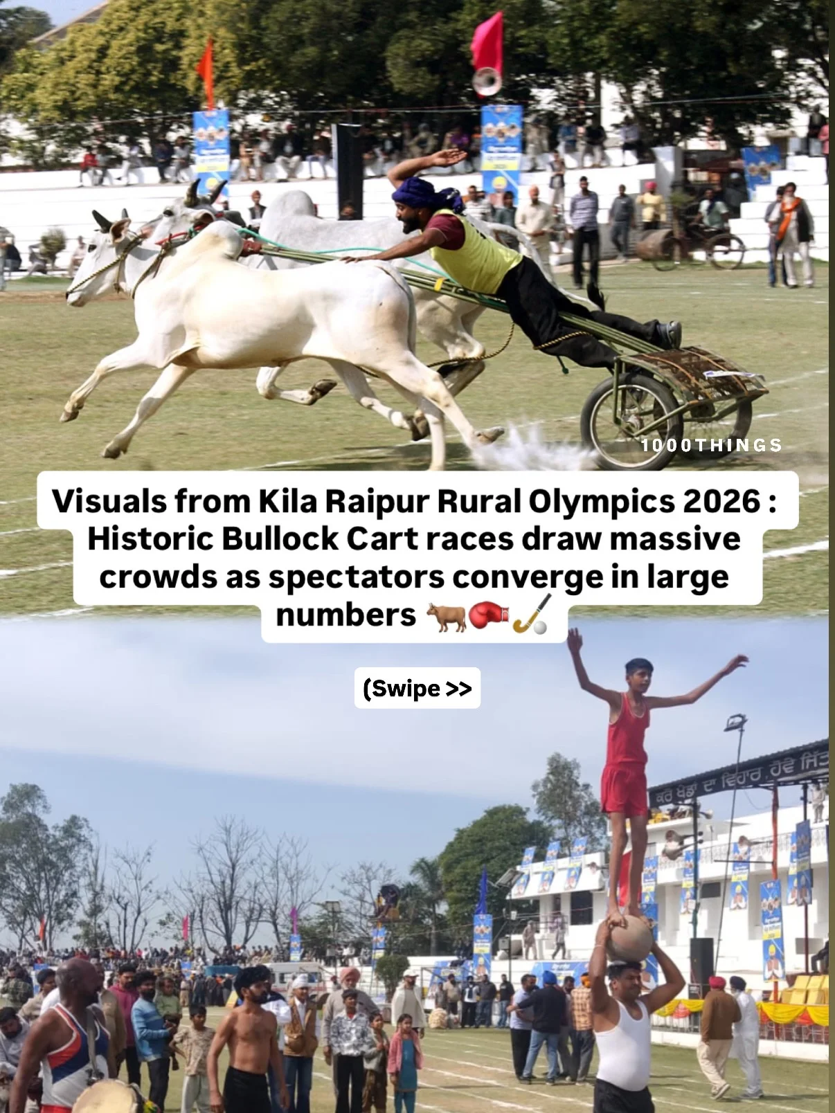Photo shared by 1000 Things In Ludhiana on February 18, 2026 tagging @1000thingsinindia. May be an image of text that says '1000THINGS Visuals from Kila Raipur Rural Olympics 2026: Historic Bullock Cart races draw massive crowds as spectators converge in large numbers (Swipe >>'.