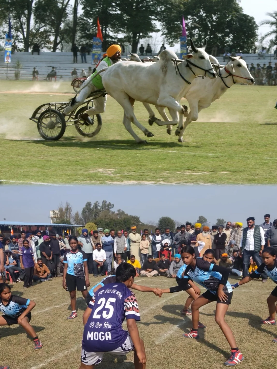 Photo by 1000 Things In Ludhiana on February 18, 2026. May be an image of riding on a horse, horse, grass and text.
