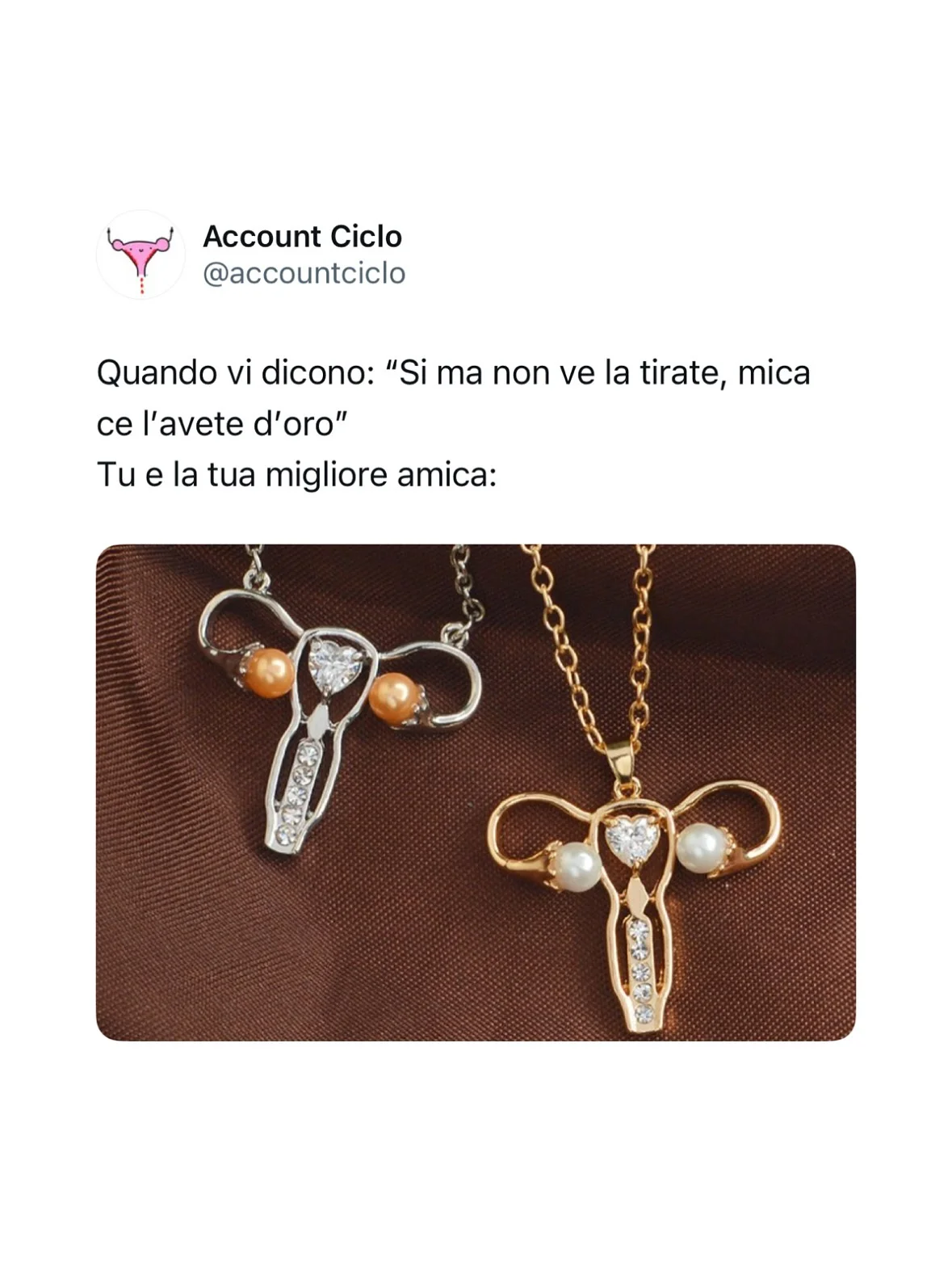Photo by Sally Saccarola🩸 on February 19, 2026. May be an image of elephant, jewelry, padlock, key and text that says 'Account Ciclo @accountciclo ce l'avete d'oro" Quando vi dicono: "Si ma non ve la tirate, mica mica Tu e la tua migliore amica:'.