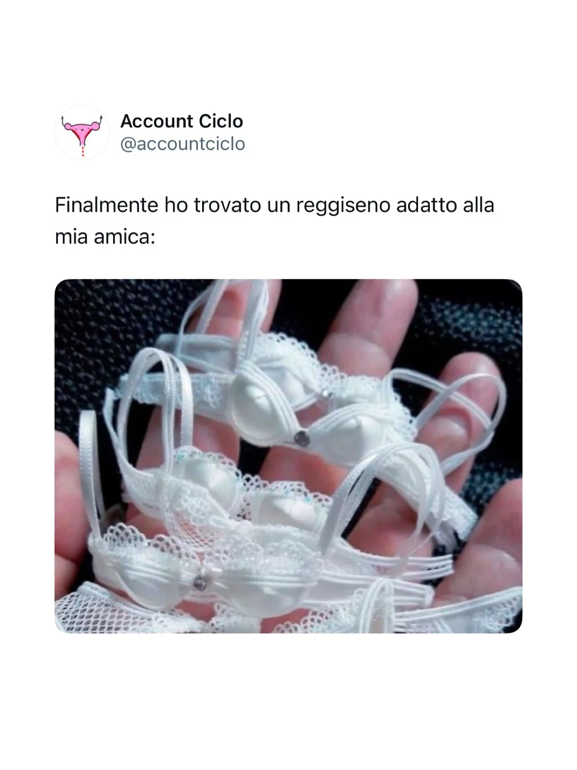 Photo by Sally Saccarola🩸 on February 19, 2026. May be an image of lace and text that says 'Account Ciclo @accountciclo Finalmente ho trovato trovato un reggiseno adatto alla mia amica:'.