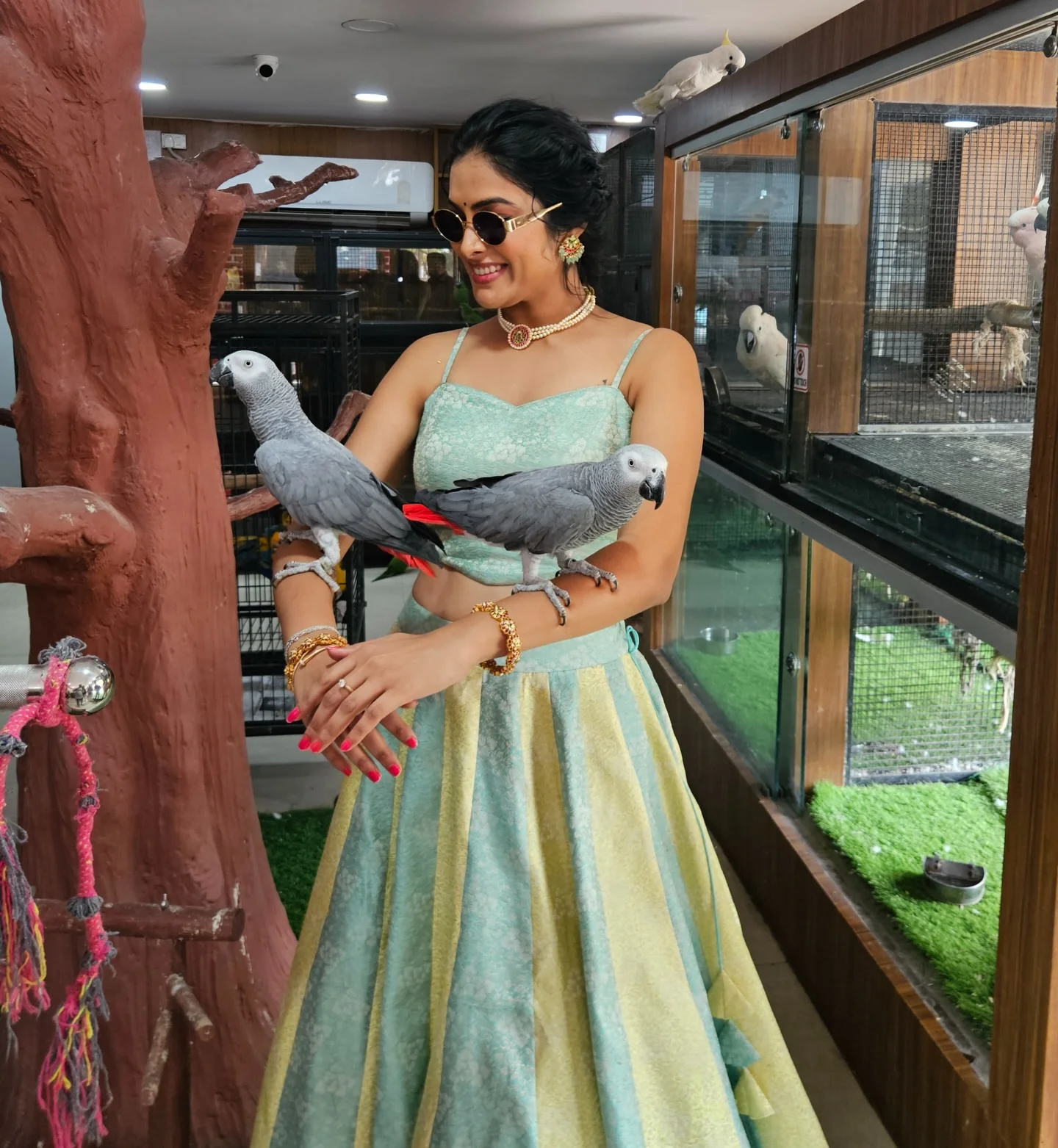 Photo shared by Divi on February 16, 2026 tagging @radheshyam_designer_studio, and @sravanthimakeup_beauty_academy. May be an image of grey parrot, macaw and text.