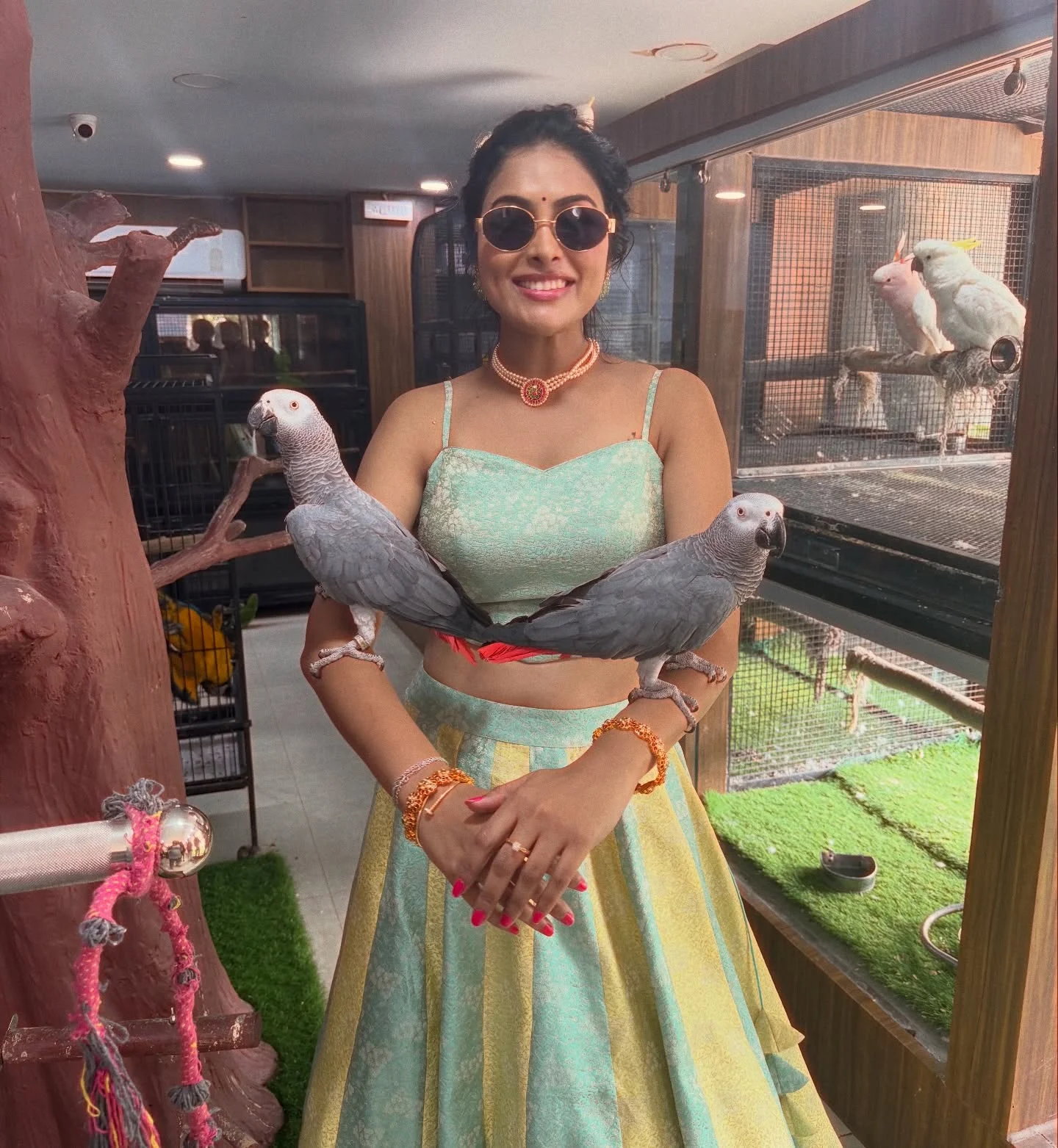 Photo by Divi on February 16, 2026. May be an image of parrot and text.