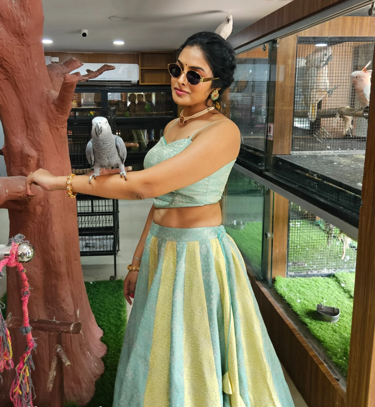 Photo by Divi on February 16, 2026. May be an image of parrot and text.