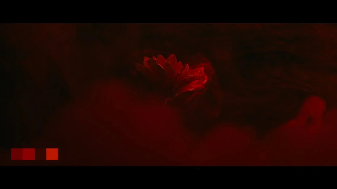 Photo by Alexandros Karpas on February 22, 2026. May be an image of text.