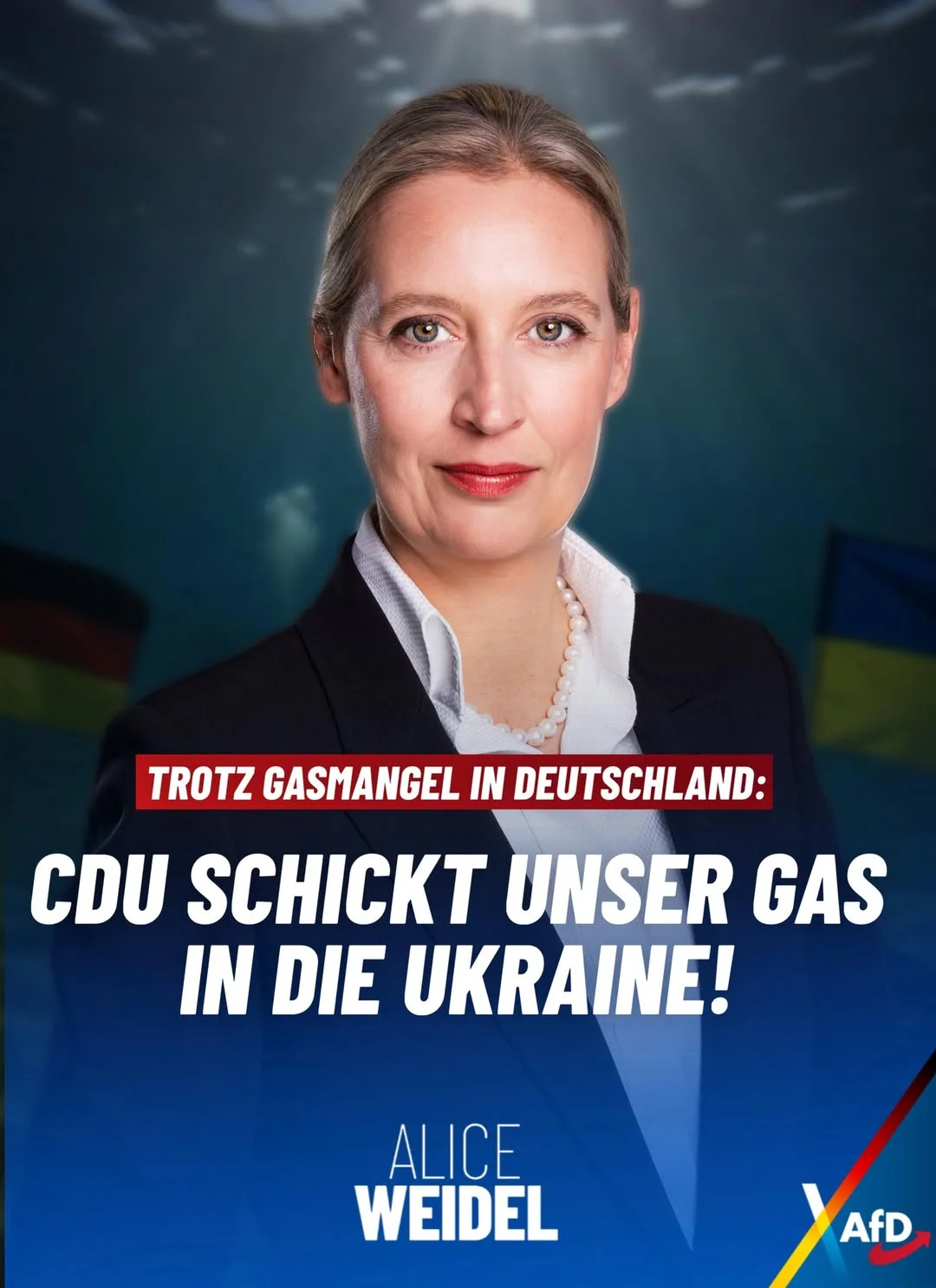Photo by Alice Weidel on February 24, 2026. May be an image of one or more people, poster, magazine and text that says 'TROTZ GASMANGEL IN DEUTSCHLAND: CDU SCHICKT UNSER GAS IN DIE UKRAINE! ALICE WEIDEL AfD'.