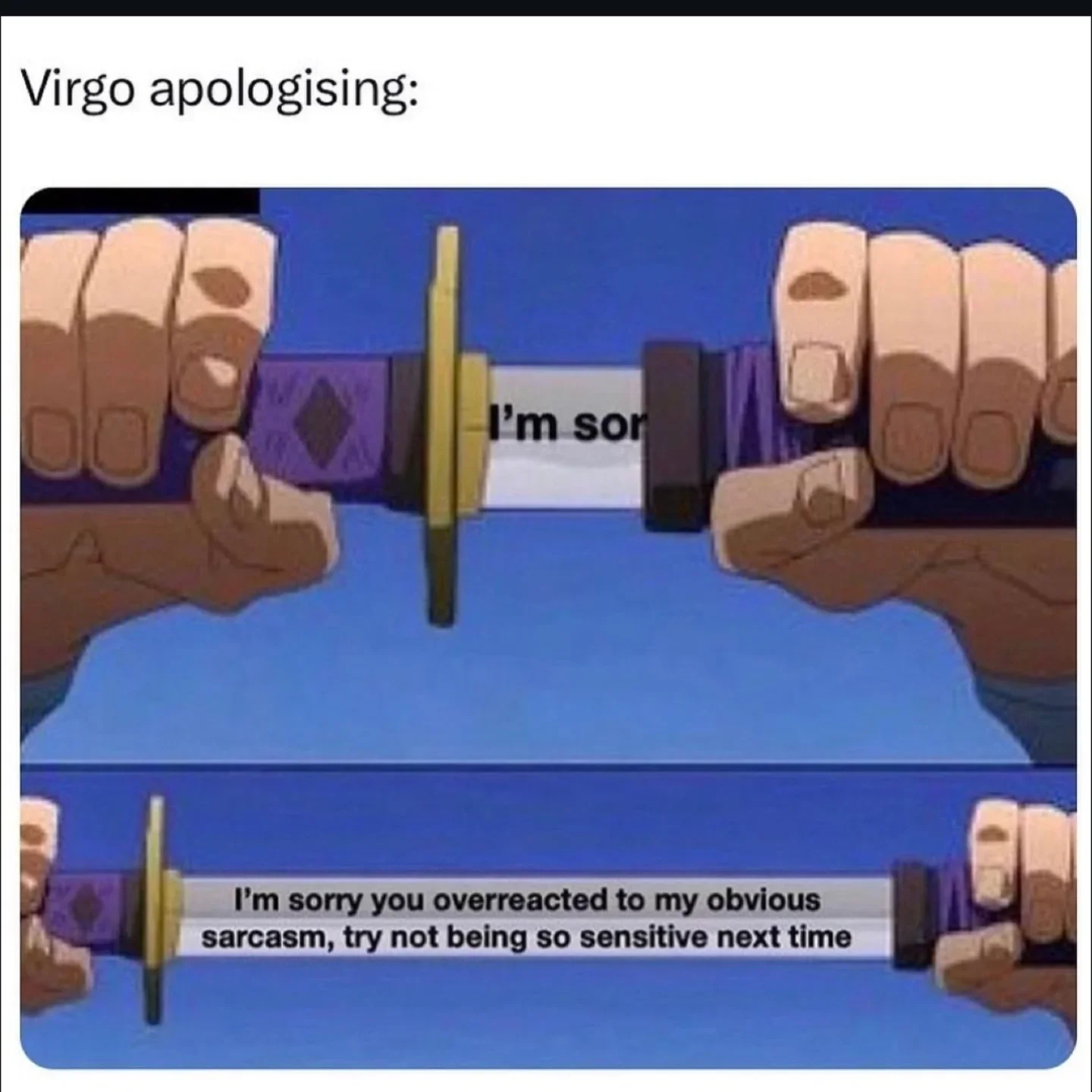 Photo by Virgo♍Facts on February 18, 2026. May be a meme of text that says 'Virgo apologising: I'm I'msor sor Aл I'm sorry you overreacted to my obvious sarcasm, try not being so sensitive next time'.