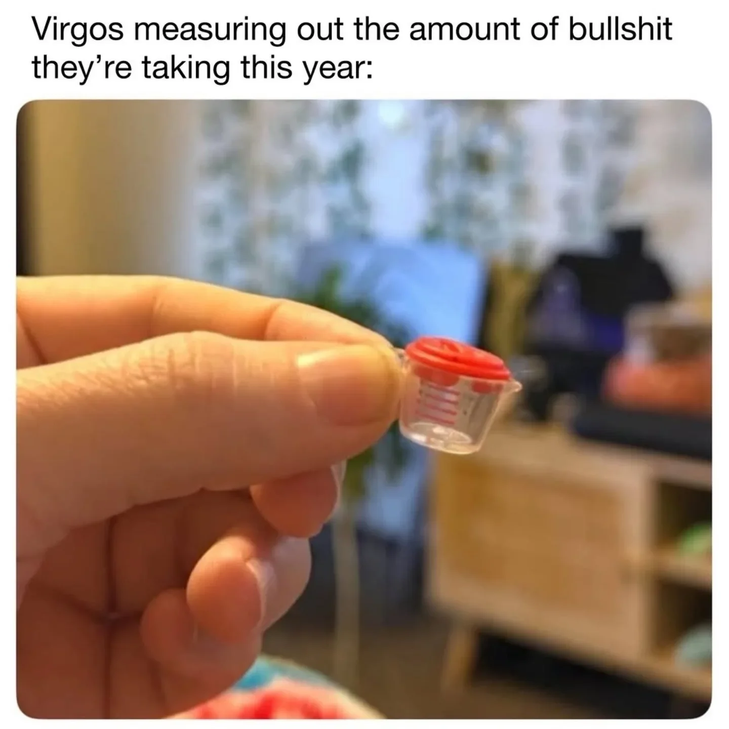 Photo by Virgo♍Astrology on February 24, 2026. May be a meme of text that says 'Virgos measuring out the amount of bullshit they're taking this year:'.