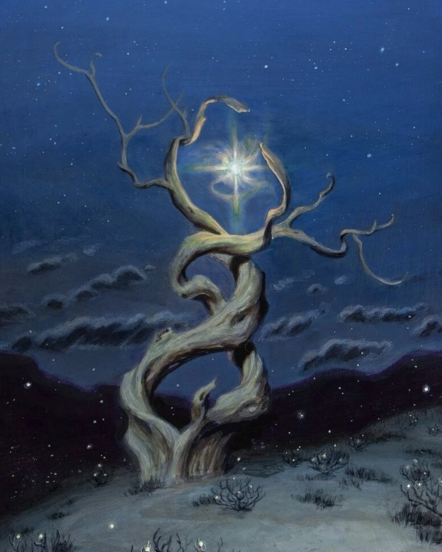 Photo by ∘ 𝔸𝕞𝕓𝕖𝕣 𝕠𝕗 𝕥𝕙𝕖 𝕊𝕖𝕒 ∘ on March 04, 2026. May be an illustration of tree and text.