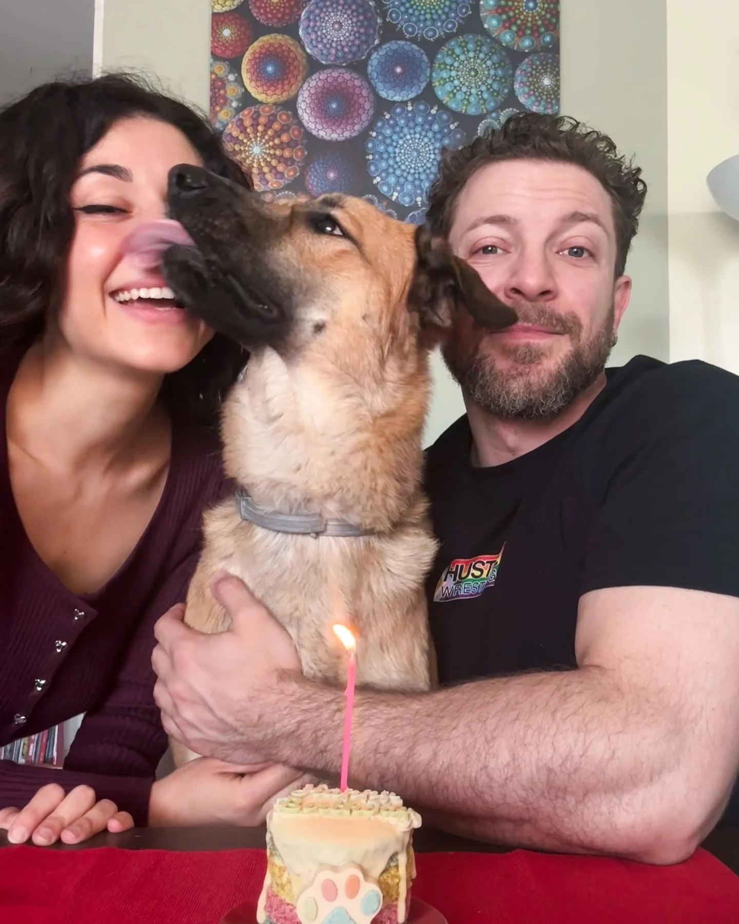 Photo shared by Ambra Pazzani on March 22, 2026 tagging @themerluzz, and @zampaliziosa. May be an image of mastiff and text.