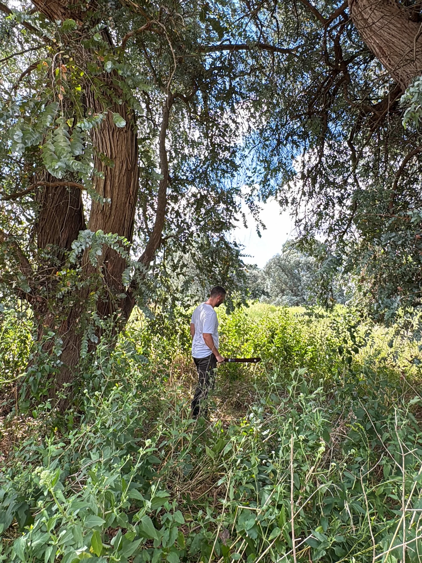 Photo by 𝗙𝐞𝐫 𝐌𝐮𝐠𝐫𝐚𝐛𝐢 on February 26, 2026. May be an image of Angel Oak tree, park and text.