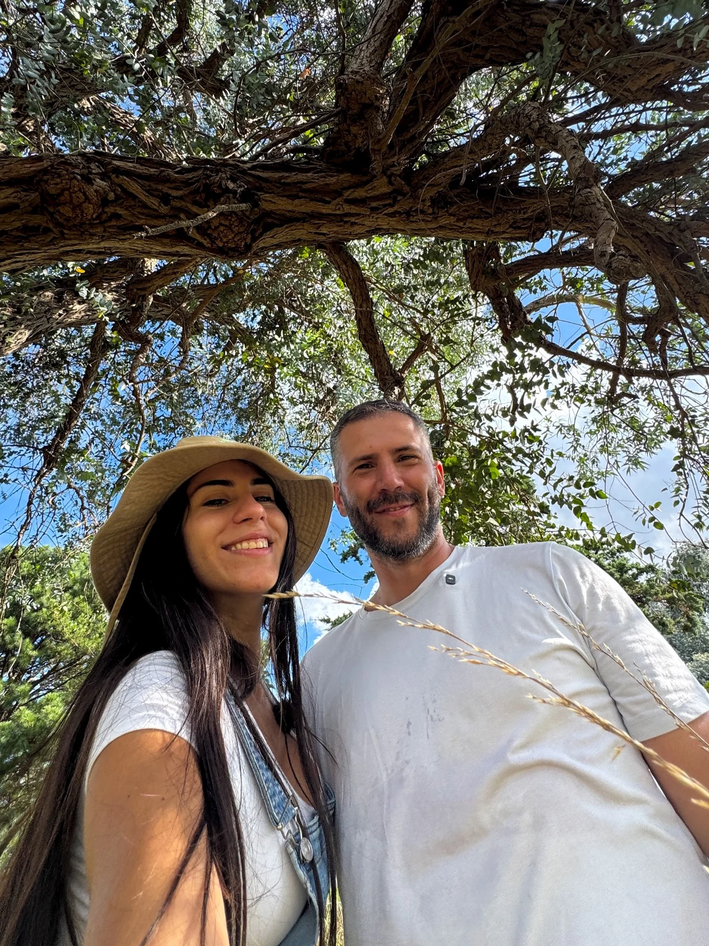 Photo by 𝗙𝐞𝐫 𝐌𝐮𝐠𝐫𝐚𝐛𝐢 on February 26, 2026. May be an image of Angel Oak tree and text.